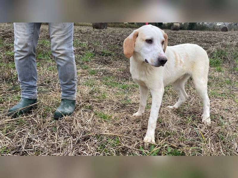 Deddy -  Mit neugierigen Pfoten ins Leben