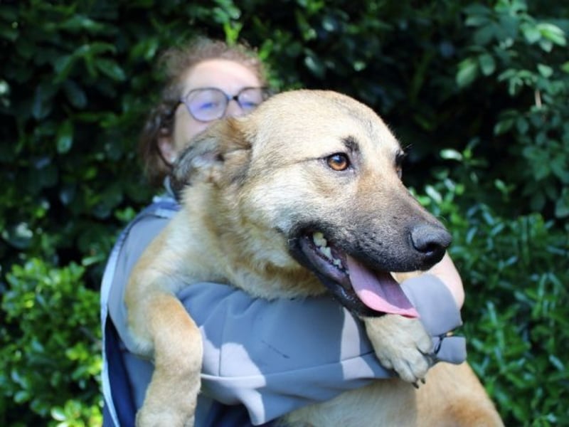 Zeebo - Z wie Zuckersüß und Zauberhaft