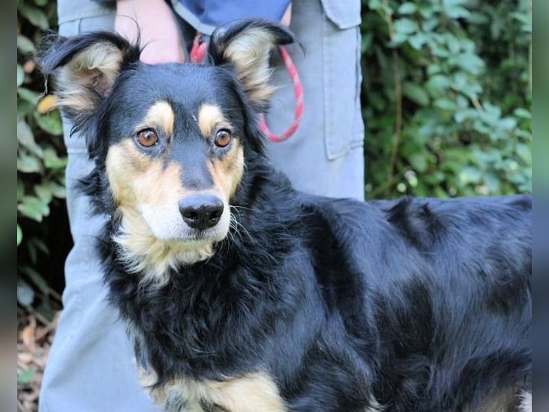 Daxter - wann darf sein Leben beginnen? Daxter - wann darf sein Leben beginnen?