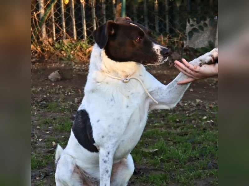 Phönix - Wege aus der Vergangenheit