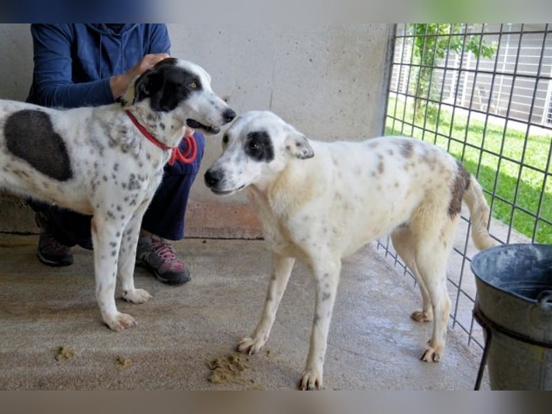 Arunny - Während Sie das hier lesen