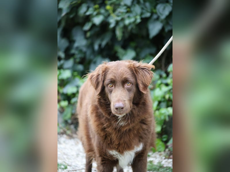 Beckey - Berufswunsch Prinzessin