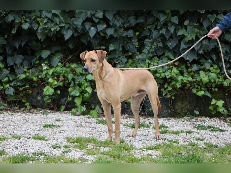 Jasper - Warten auf den einen Menschen