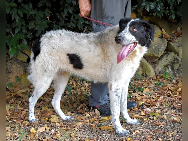 Jessie - Wer nicht neugierig ist, erfährt nichts