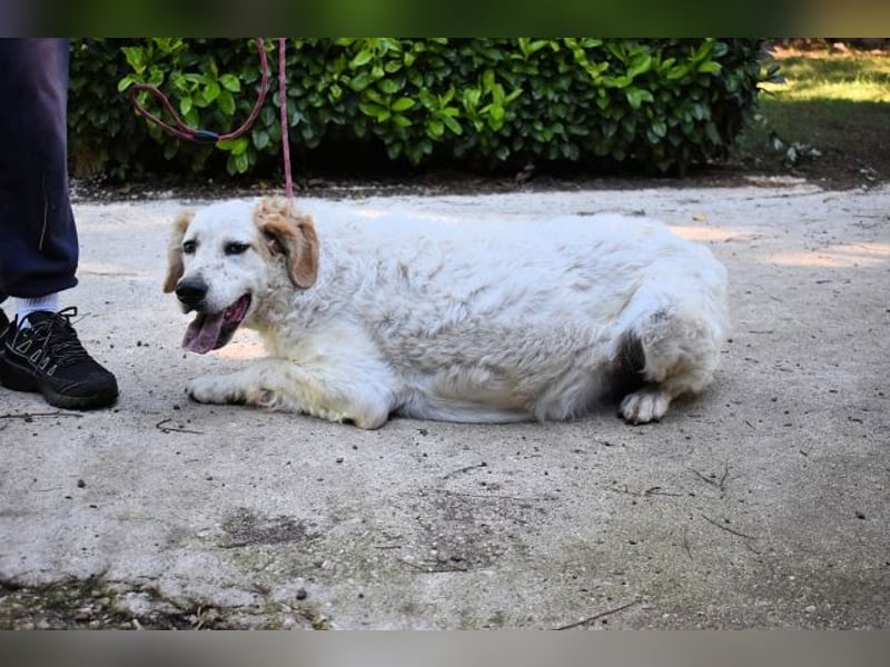 Kastore - Die Welt erkunden!