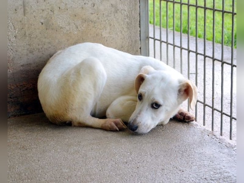 Radford - Ein Anfang, der nie kam