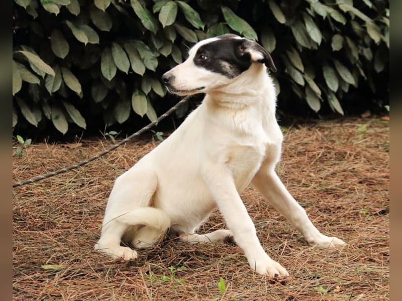 Marius - We proudly present...