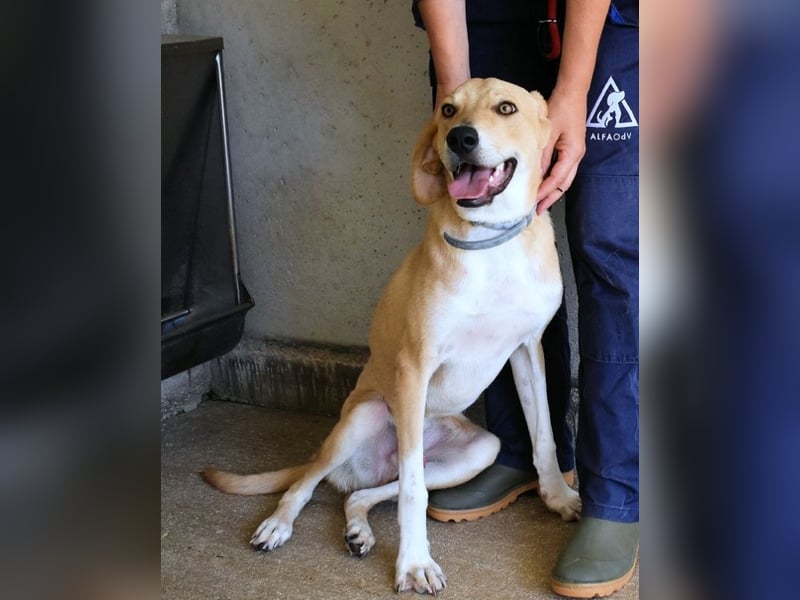 Wiper - Möchte die Welt im Sturm erobern
