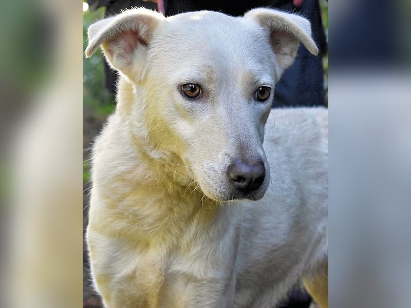 Dafnielle - Zukunft gesucht