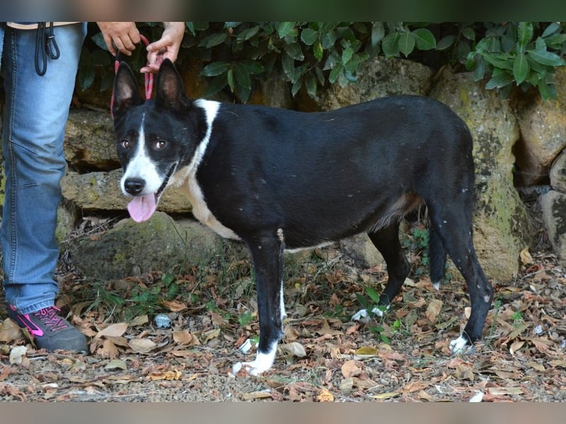 Edelmira - Das Leben in homöopathischen Dosen kennenlernen