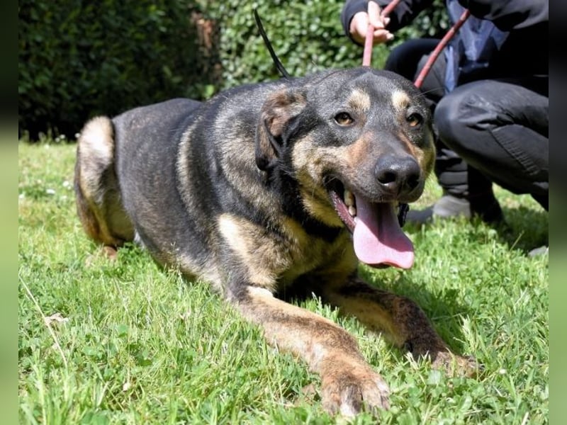 Montego - Sonne im Bauch und Brausekribbeln im Hirn