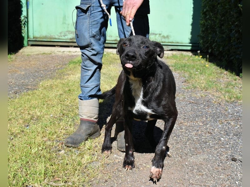 Rhino - NOTFALL !!! - Wenn man nicht auffällt, geht man unter
