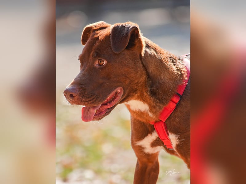 Birdy - Ich glaube, es wird Frühling