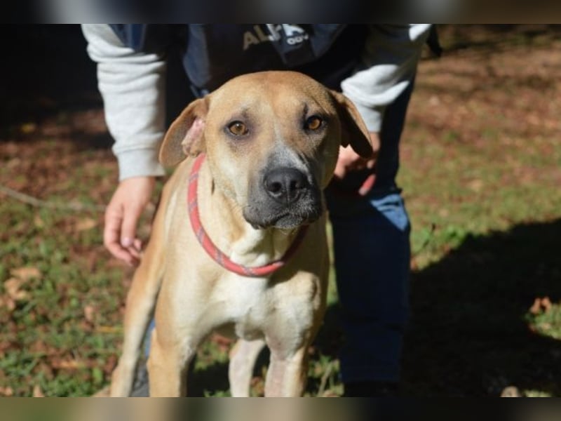 Meleagro - Die perfekte Morgenroutine Meleagro - Die perfekte Morgenroutine