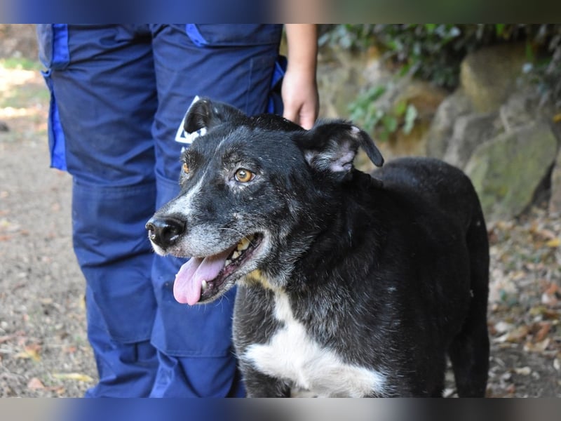 Elowen - eine Tänzerin im Mondlicht, bis die Sonne die Träume verjagt
