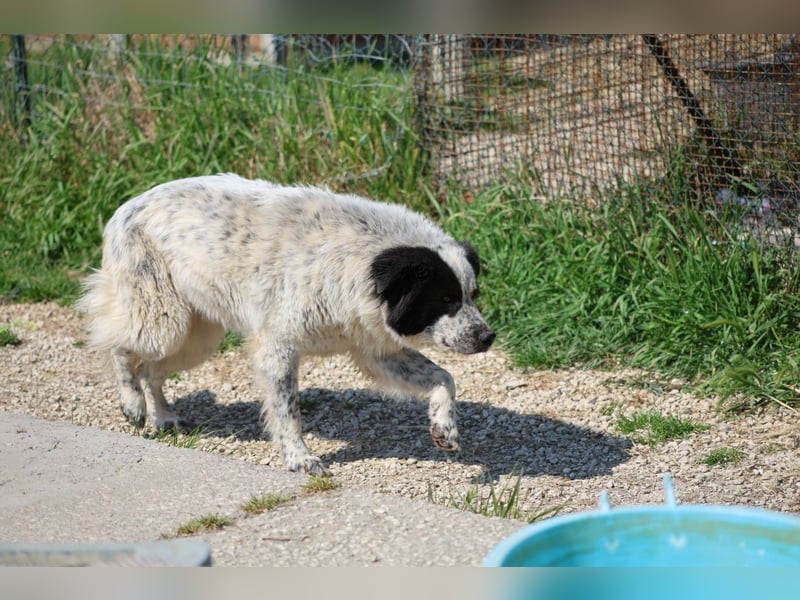 Giulietta - manche Seelen brauchen einfach etwas länger