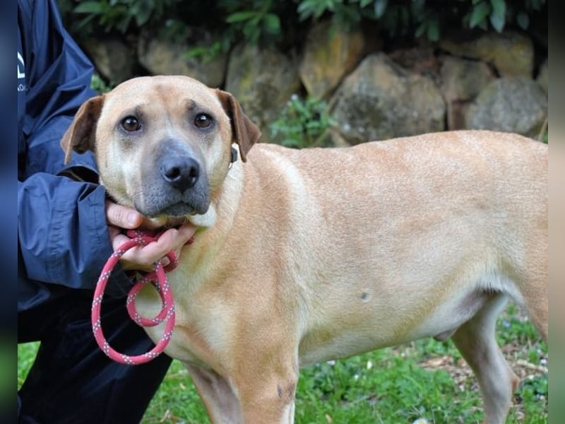 Meleagro - Die perfekte Morgenroutine Meleagro - Die perfekte Morgenroutine