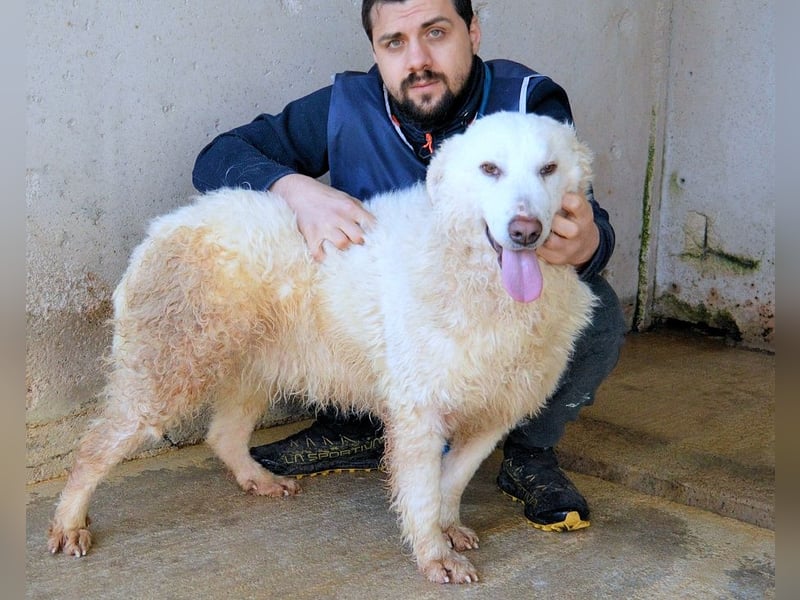 Abreena - Selbstbewusst, verspielt und voller Zuneigung