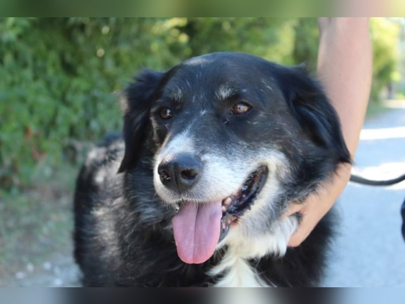 Carmine - Bereit für den Neustart