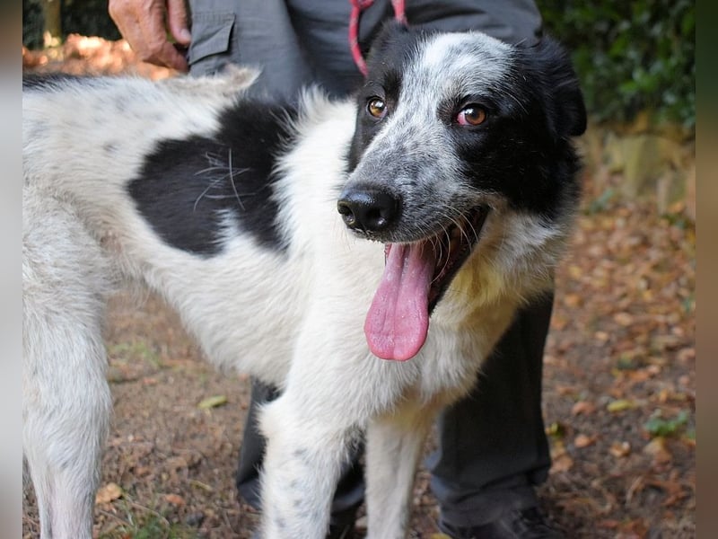 Jasmine - Wer nicht neugierig ist, erfährt nichts!
