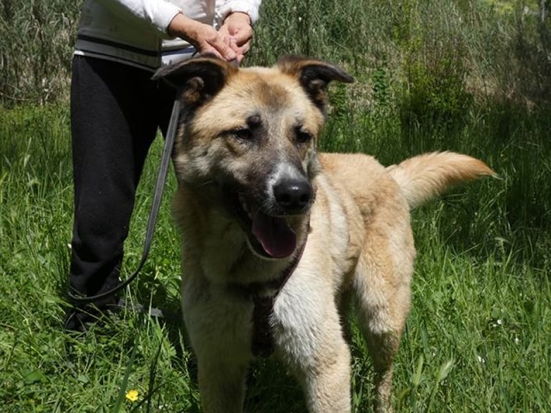 Life - Life will mehr vom Leben - und das zeigt er deutlich!