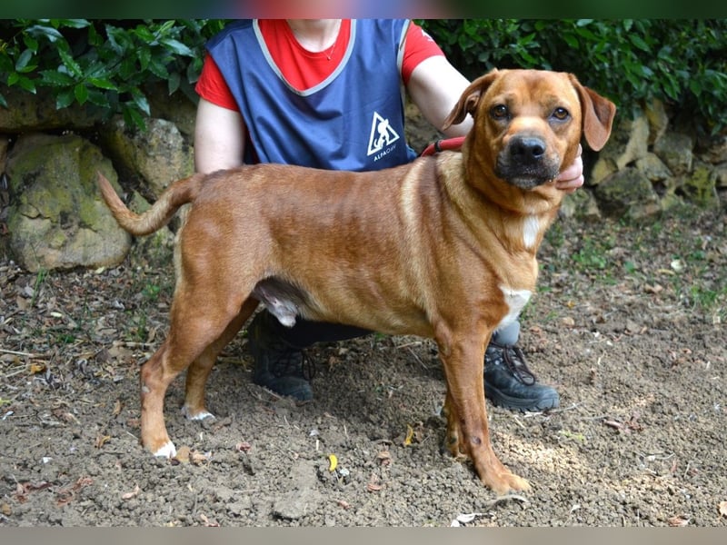 Freebie - Über Stock und Stein