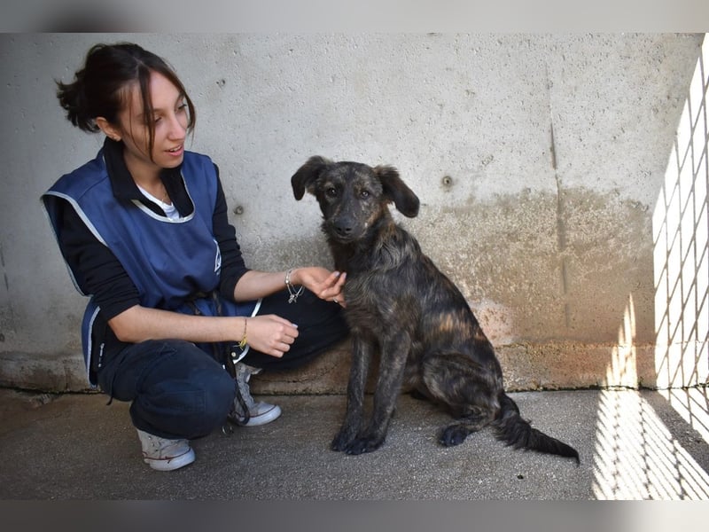 Nivara - Das Märchen von den fünf Schwestern