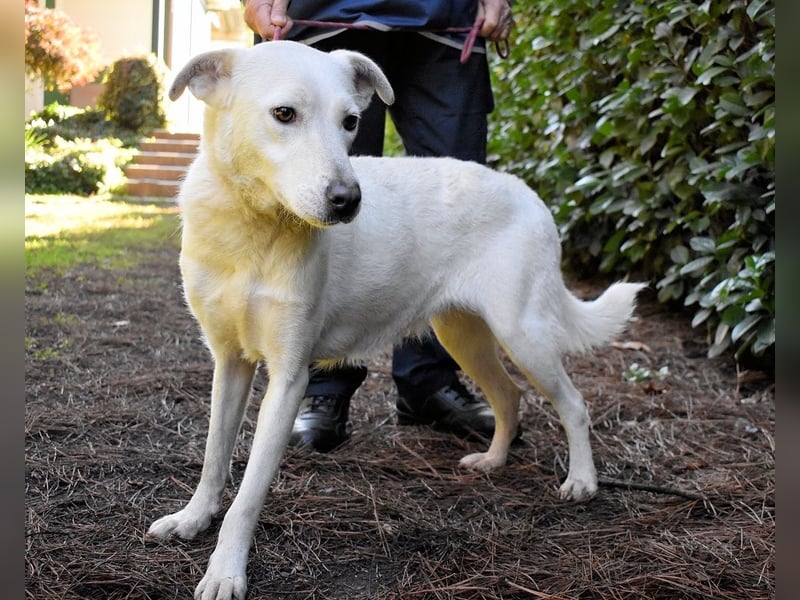 Dafnielle - Zukunft gesucht