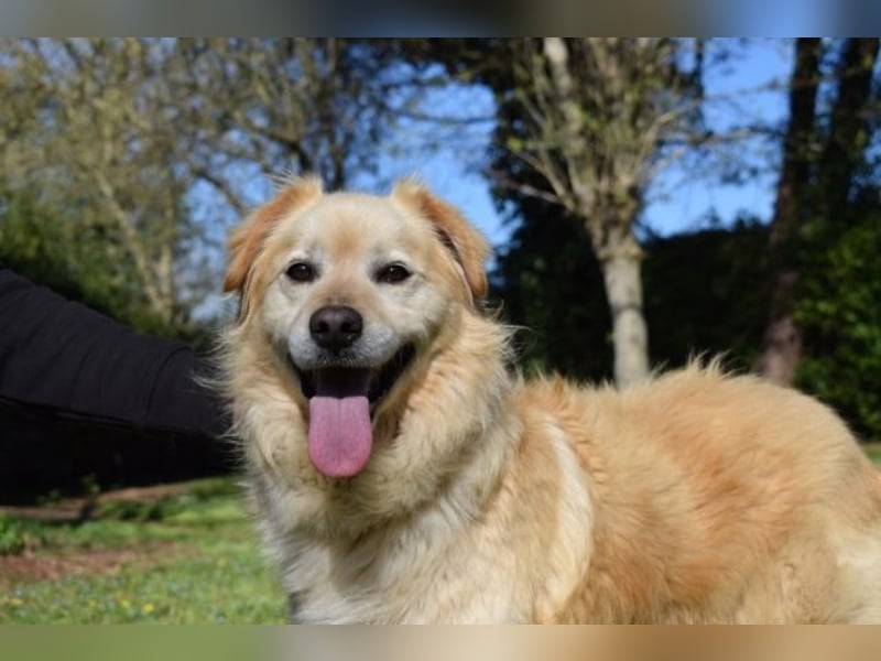 Alemix - Im zweiten Anlauf neuer Altersruhesitz gesucht