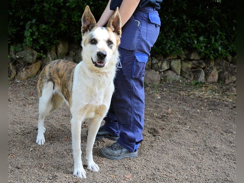 Milde - Ein Flüstern, das sagt: "Du bist sicher."