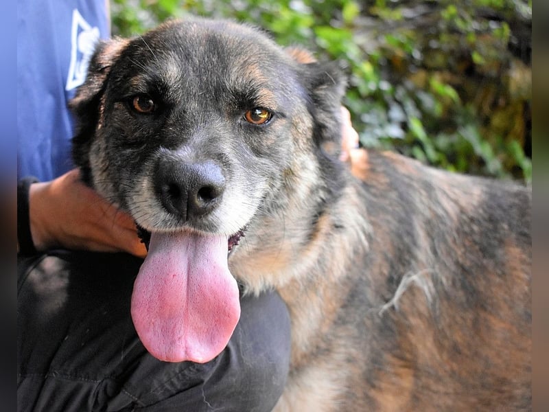 Silvana - Das Mädchen, das die Welt nie sah