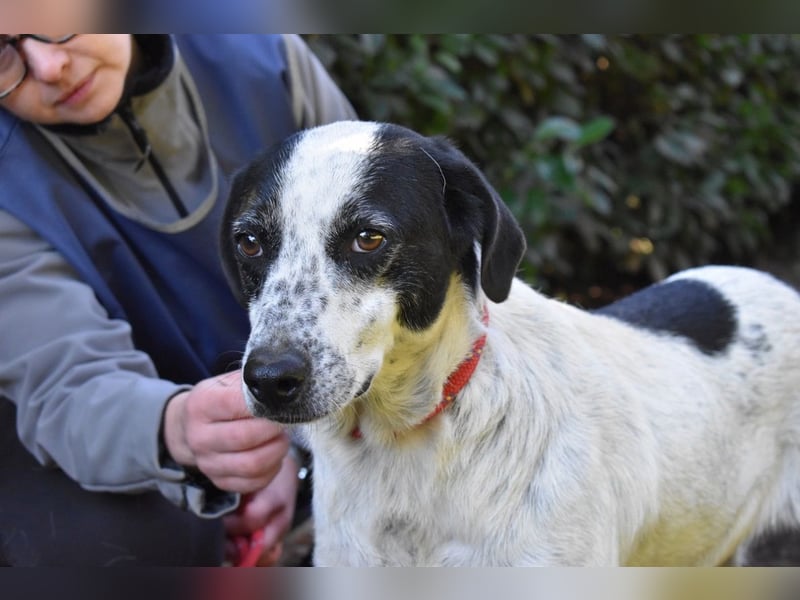 Kileo - ...Sternenstaub, wo bist du?