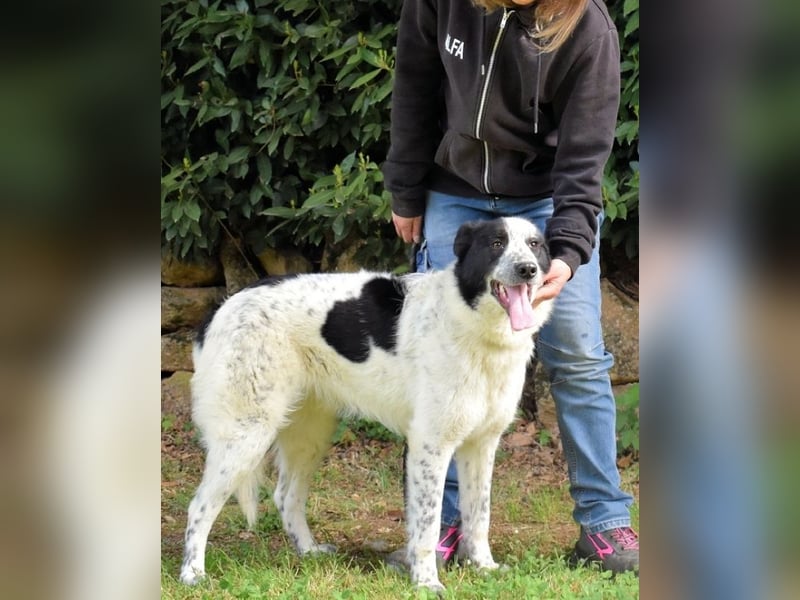 Jasmine - Wer nicht neugierig ist, erfährt nichts!