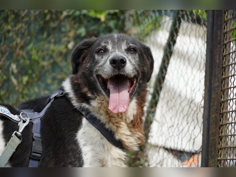 Cambiamento - lasst uns sein Leben verändern