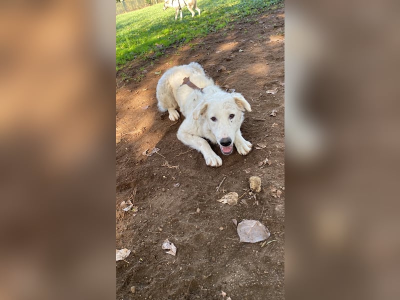 Tonia - Still, stark und voller Herz