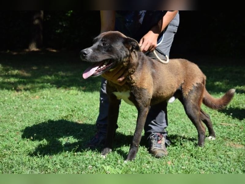 Chufo - ein Energiebündel