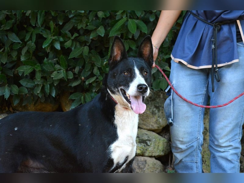 Edelmira - Das Leben in homöopathischen Dosen kennenlernen