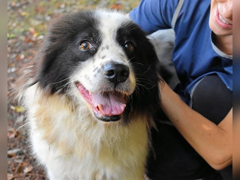 Puccie - unser liebes Mädchen...