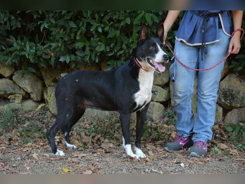 Edelmira - Das Leben in homöopathischen Dosen kennenlernen