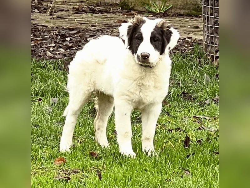 Ingo -  Neunmal werden wir noch wach...