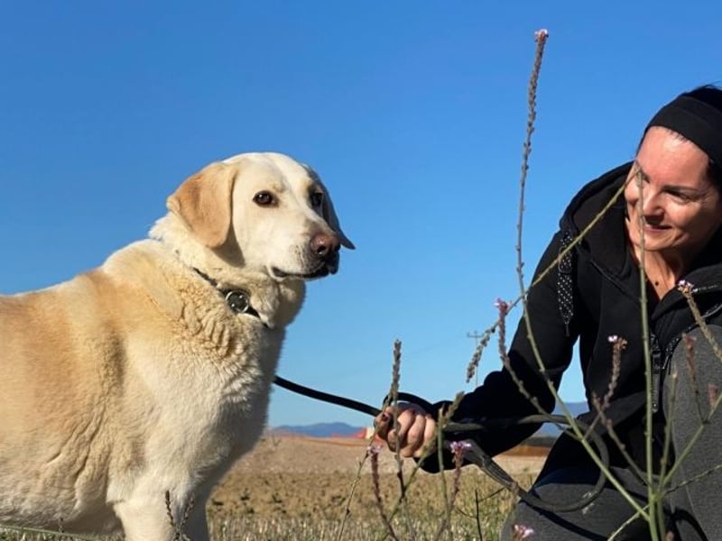 Patty - Vorsichtig auf den Pfoten, groß im Herzen