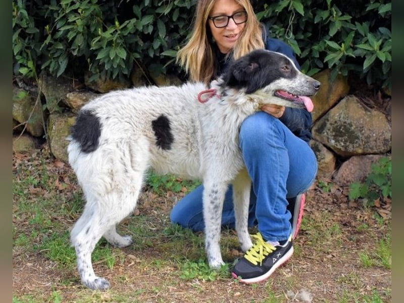 Jessie - Wer nicht neugierig ist, erfährt nichts