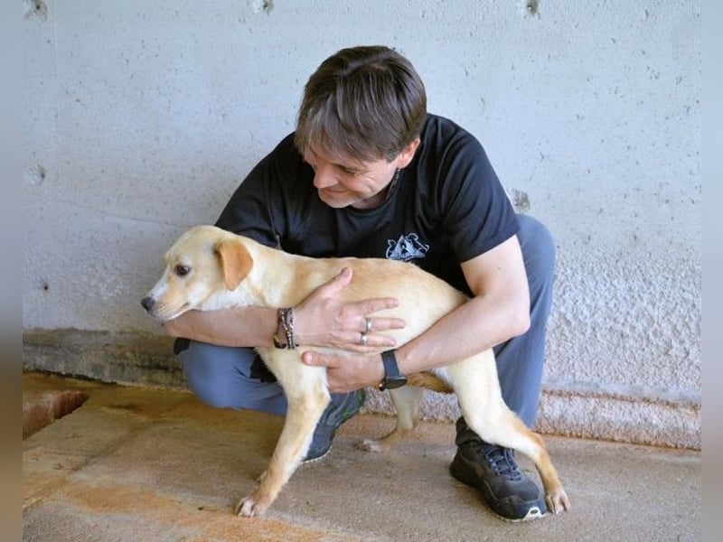 Rodrigue - Ein Anfang, der nie kam