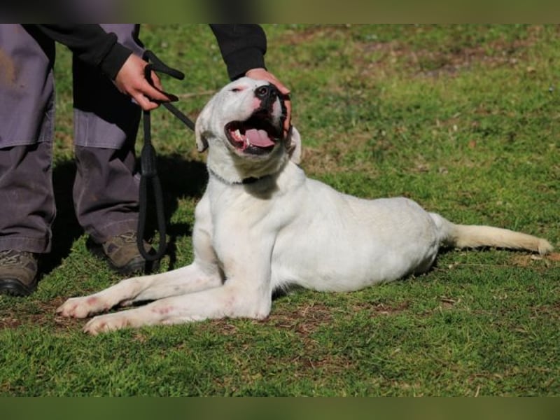 Olindina - Wie gut du bist, das zeigt sich an schlechten Tagen