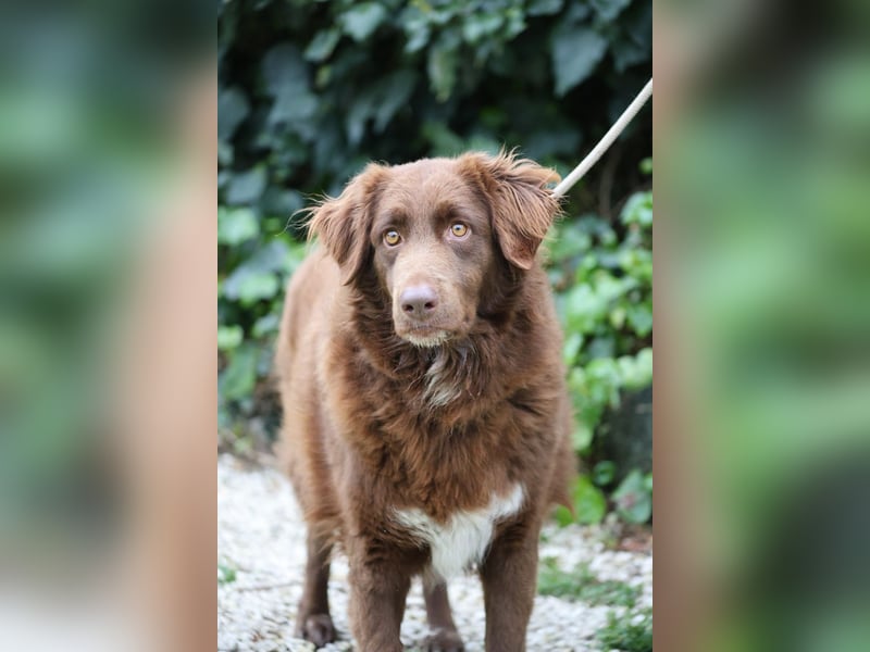 Beckey - Berufswunsch Prinzessin