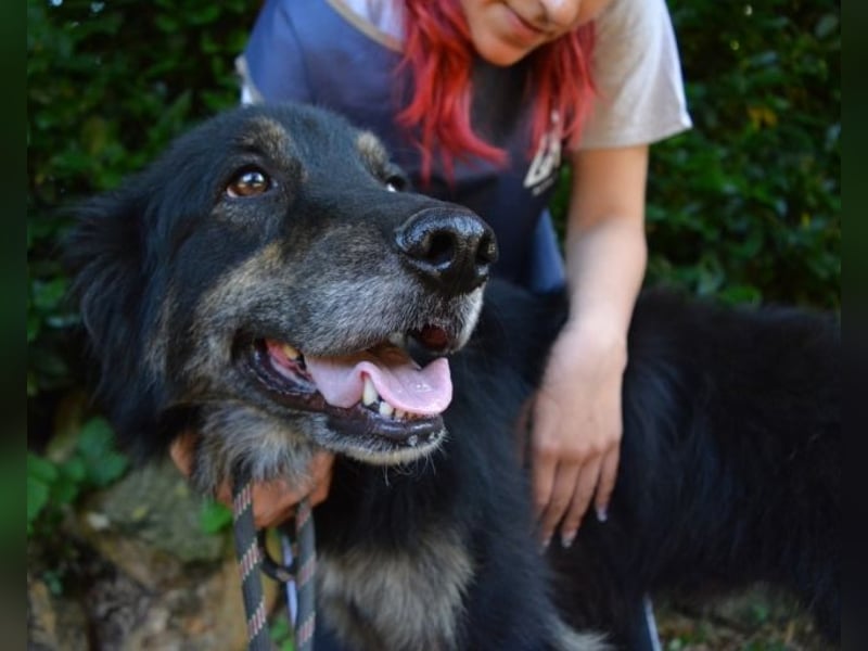 Pinot - "Unmöglich!" sagte die Tatsache... Pinot - "Unmöglich!" sagte die Tatsache...