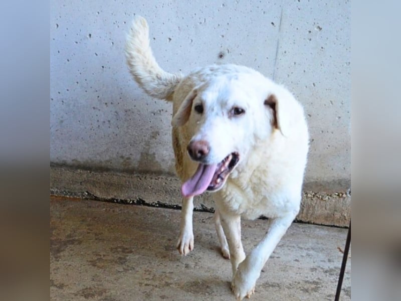 Arriel - aller guten Dinge sind drei