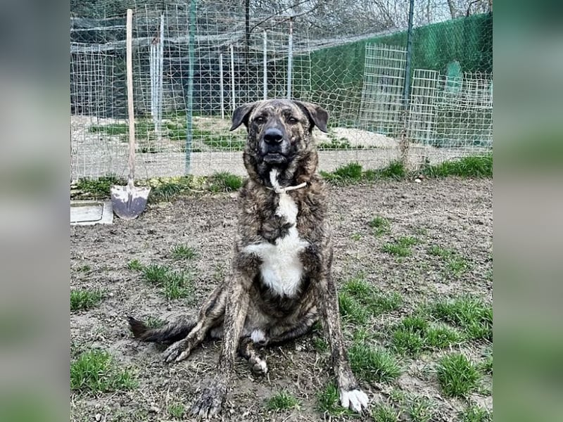 Ludwig - Nur Mädchen erlaubt