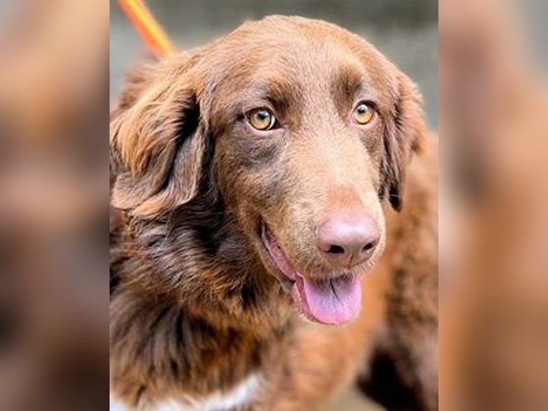 Beckey - Berufswunsch Prinzessin