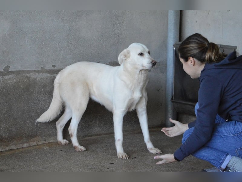 Cyra - Cyra, bald bist auch Du dran!